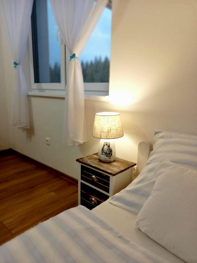 Apartman Pod Sivym Vrchom Bölényfalu Kültér fotó